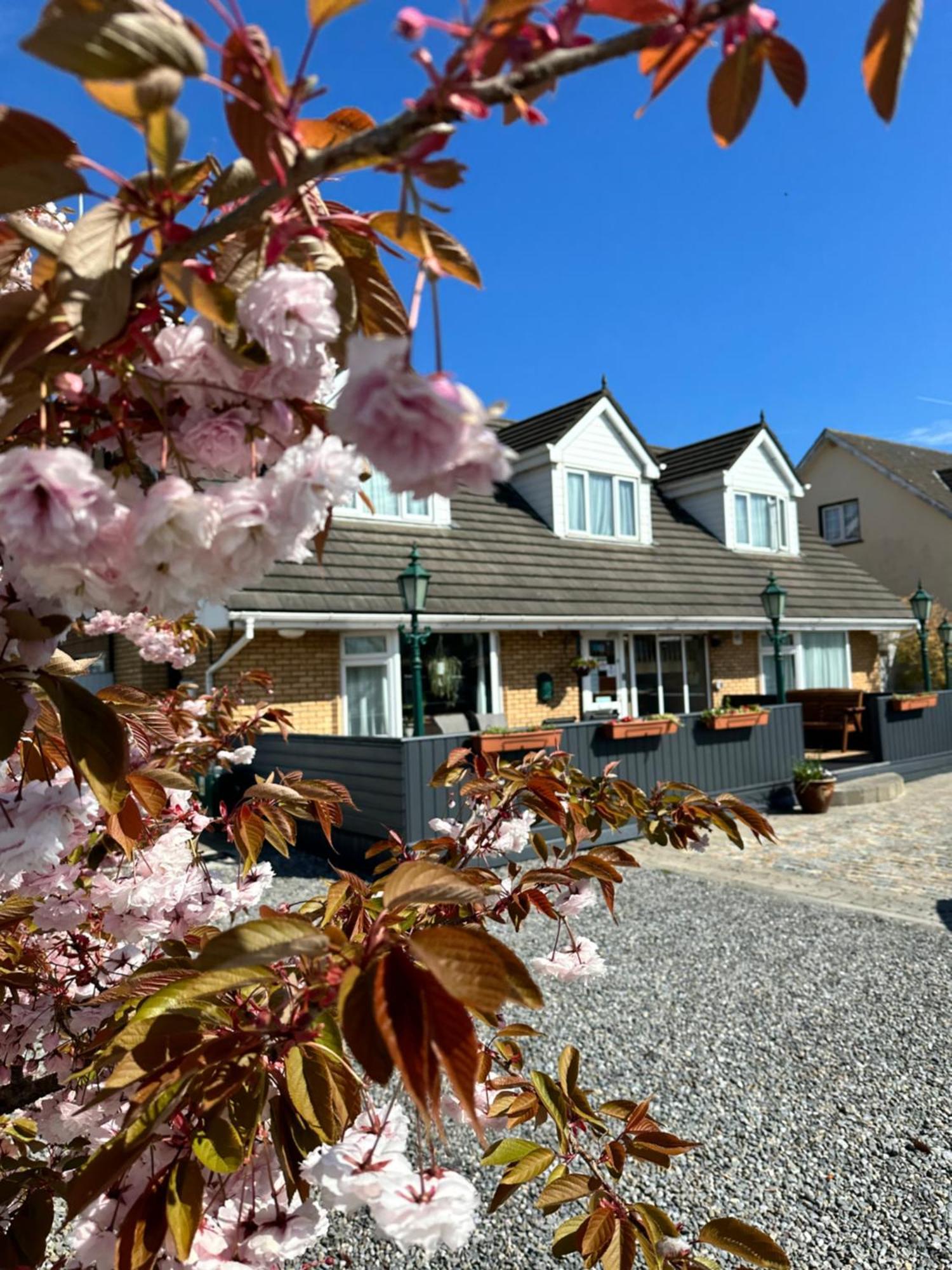 Malahide Guest Rooms Exterior foto